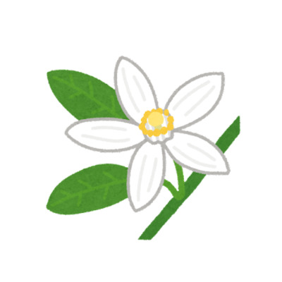 〇【英語学習の相談セッション】留学、海外生活、ボランティアなどなども〇